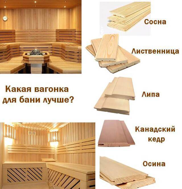 Вагонка для бани: какая лучше, липа, осина, ольха, сосна, кедр, лиственница, что лучше, какую выбрать для парилки