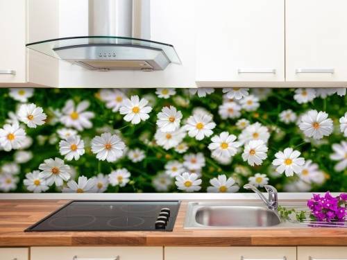 Стеновые панели для кухни: какие бывают и что лучше выбрать, стеклянные фартуки с фотопечатью, пластиковые, акриловые, искусственный камень и кирпич, критерии