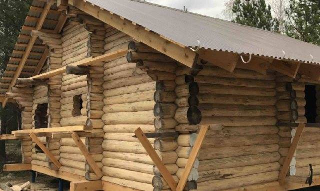 Все об обшивке парной: какой вагонкой, как правильно обшить парилку в бане