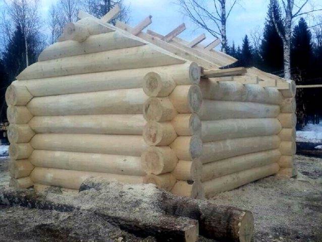 Как правильно обработать осиновую вагонку для бани