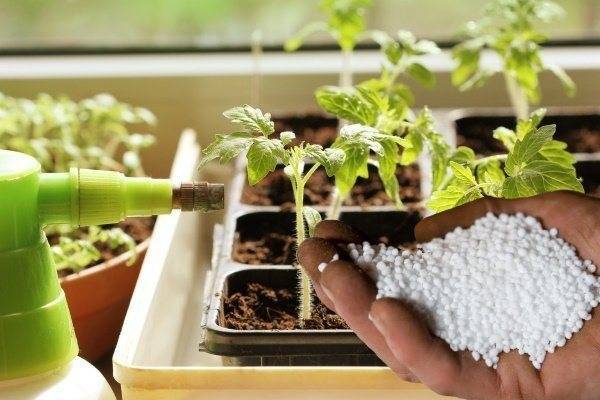 Удобрения для цветения комнатных растений и садовых цветов: топ 10 подкормок 2021 года
