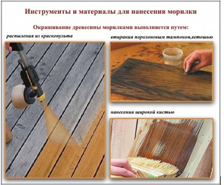 Особенности водной морилки